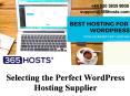 Choosing the Ideal an Online Host - Web Hosting UK PowerPoint PPT Presentation