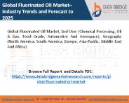Fluorinated Oil Market