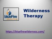 Wilderness Therapy - bluefirewilderness.com