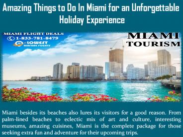 Amazing Things to Do In Miami for an Unforgettable Holiday Experience