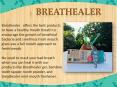 Breathealer | Eco Bamboo Toothbrush, Mint Mouth Freshener Spray, and Organic Tooth Powder PowerPoint PPT Presentation