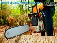 Tree Service Fredericksburg