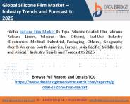 Silicone Film Market