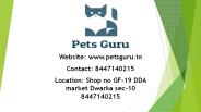 cat grooming in Dwarka