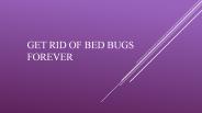 Bed Bugs Treatment Singapore
