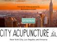 Special Acupuncture Treatment in New York and Los Angeles PowerPoint PPT Presentation