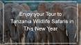 Enjoy your Tour to Tanzania Wildlife Safaris in This New Year PowerPoint PPT Presentation
