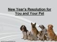 New Year’s Resolution for You and Your Pet PowerPoint PPT Presentation