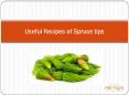 Use of spruce tips ingredients for making recipes PowerPoint PPT Presentation
