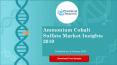 Ammonium cobalt sulfate market professional survey report 2019 PowerPoint PPT Presentation