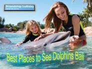 Best Places to See Dolphins Bali