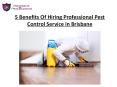 5 Benefits Of Hiring Professional Pest Control Service in Brisbane PowerPoint PPT Presentation