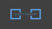 Angelo D'Alessandro - Experienced in the Construction Industry