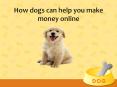 How dogs can help you make money online? PowerPoint PPT Presentation
