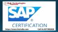 Best Sap FICO Course Training Institute in Delhi
