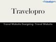 Travel Website Designing PowerPoint PPT Presentation