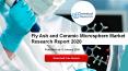 Fly Ash and Ceramic Microsphere Market Research Report 2020 PowerPoint PPT Presentation