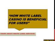 Sports betting software Developer