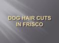 Dog Hair Cuts in Frisco PowerPoint PPT Presentation
