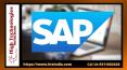 Enroll for the Best SAP Training Institute in Delhi, Noida