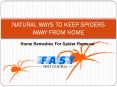 NATURAL WAYS TO KEEP SPIDERS AWAY FROM HOME (1) PowerPoint PPT Presentation