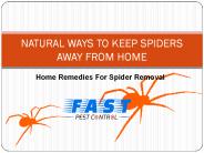 NATURAL WAYS TO KEEP SPIDERS AWAY FROM HOME (1)