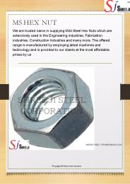 MS Hex Nut