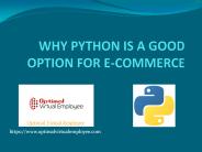 Why Python is a good option for e-commerce