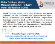 Privileged Identity Management Market