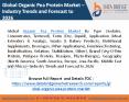 Organic Pea Protein Market (1) PowerPoint PPT Presentation