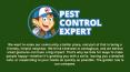 Pest Control, Inspection Specialist in New York - Pest Control Expert PowerPoint PPT Presentation