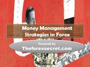 ForexSecret123 (16)