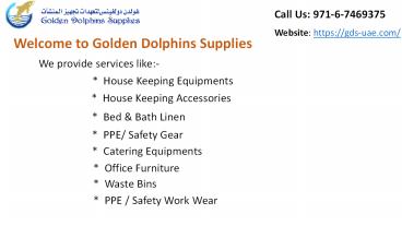Golden Dolphins Supplies (1)
