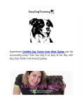 Dog Training Courses in Sydney Area PowerPoint PPT Presentation