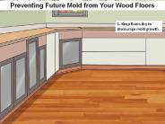 Preventing Future Mold from Your Wood Floors