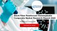 Short Fiber Reinforced Thermoplastic Composite Market Research Report 2020 PowerPoint PPT Presentation