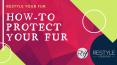 Steps How To Protect Your Fur In Summer | Restyle Your Fur PowerPoint PPT Presentation