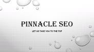 Pinnacle SEO