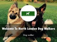 North London Dog Walkers Presentation