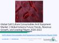 Global Cell Culture Consumables And Equipment Market Report 2020 PowerPoint PPT Presentation