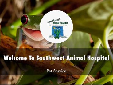 Southwest Animal Hospital Presentation