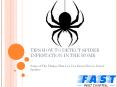 TIPS HOW TO DETECT SPIDER INFESTATION IN THE HOME PowerPoint PPT Presentation