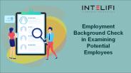 Employment Background Check in Examining Potential Employees