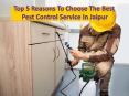 Top 5 Reasons to Choose the Best Pest Control Service in Jaipur PowerPoint PPT Presentation