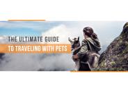 The Ultimate Guide to Traveling with Pet