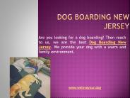 We Love Your Dog