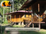 Amazon Peru Tambopata