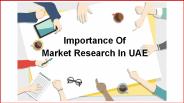 Importance of Market Research in UAE