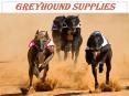 Greyhound Supplies | Greyhound Racing Equipment PowerPoint PPT Presentation