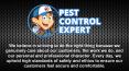 Pest Management Services in Philadelphia - Pest Control Expert PowerPoint PPT Presentation